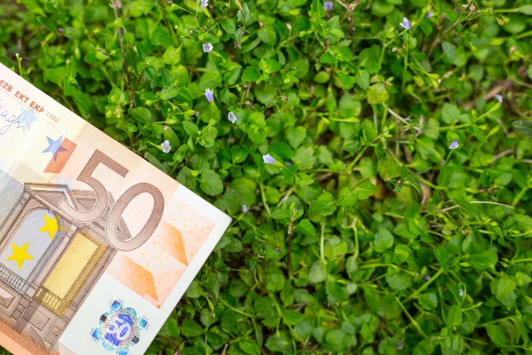 Ecobonus 65% cos’è, a chi spetta e come funziona la detrazione per l’efficienza energetica